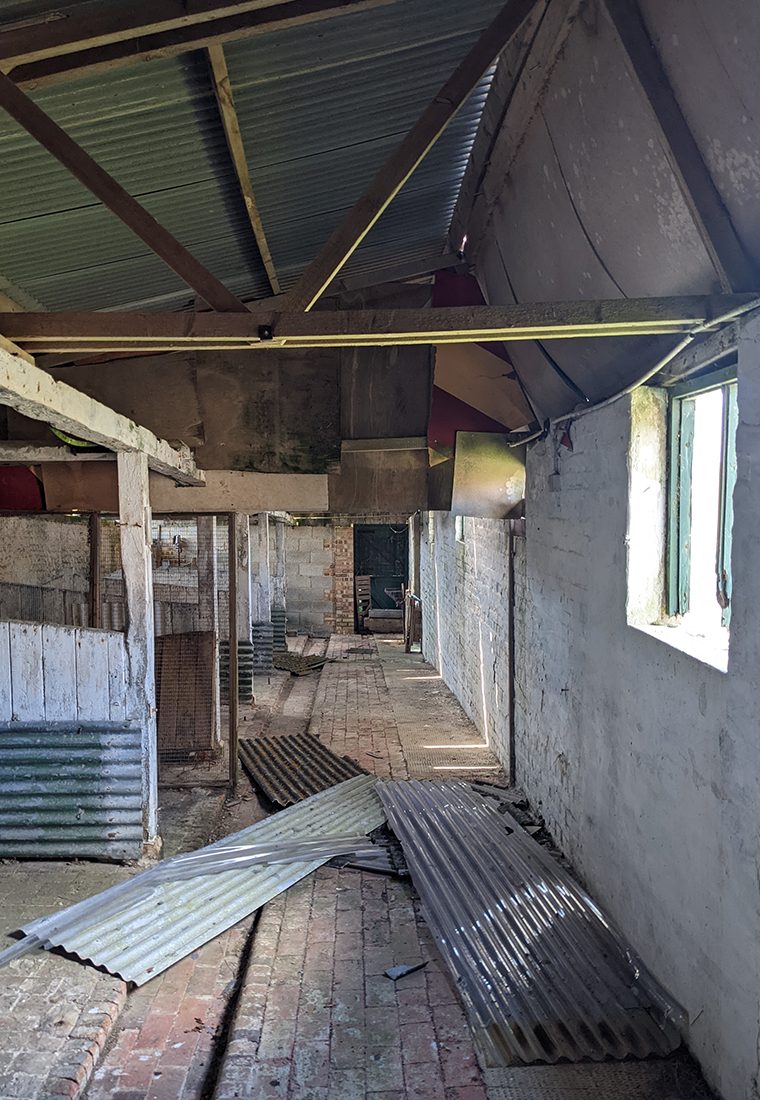 01_BRF_EXISTED CONDITION