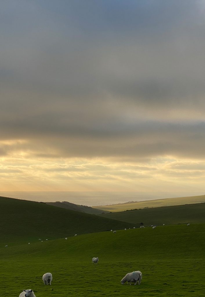 01_BRF_VIEW TO BIRLING GAP
