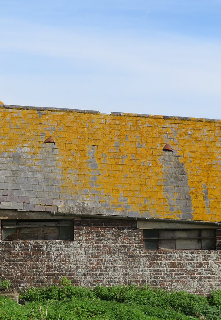 02_BRF_ELEVATION ROOF