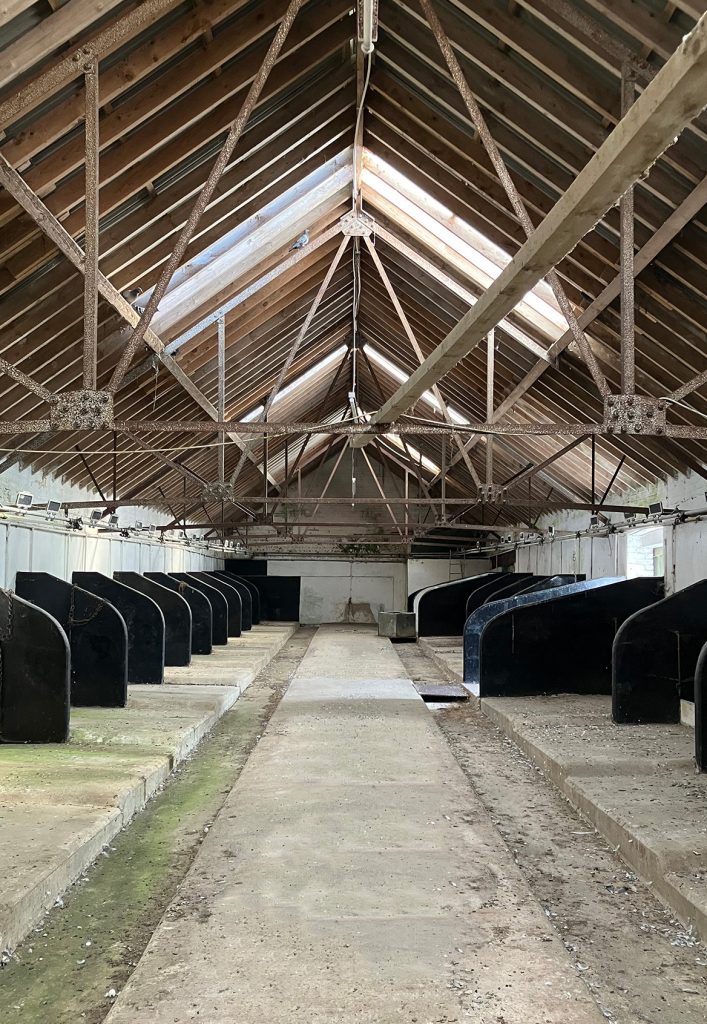 02_BRF_PROPOSED BEFORE_2