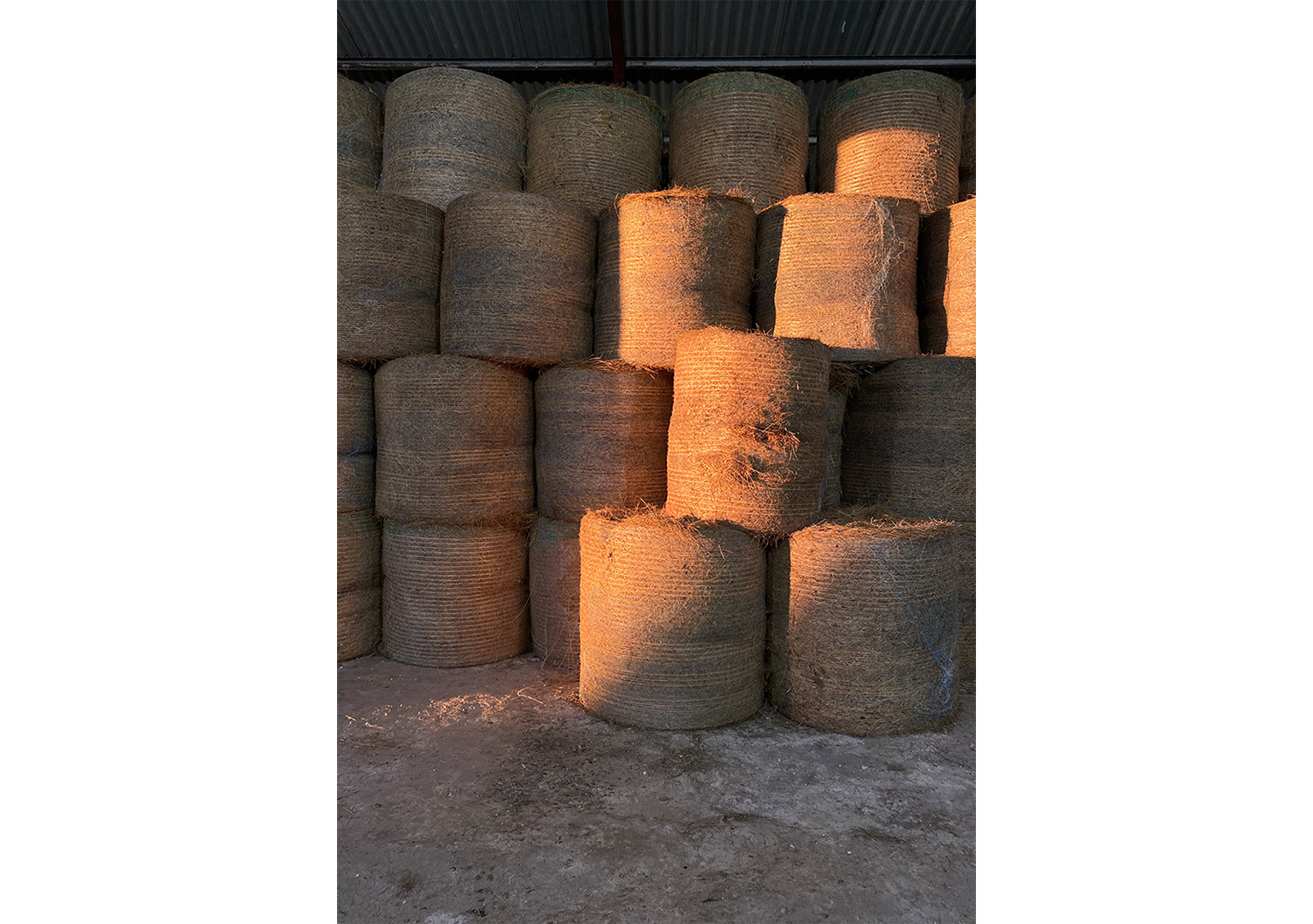 03_BRF_LANDSCAPE VIEW