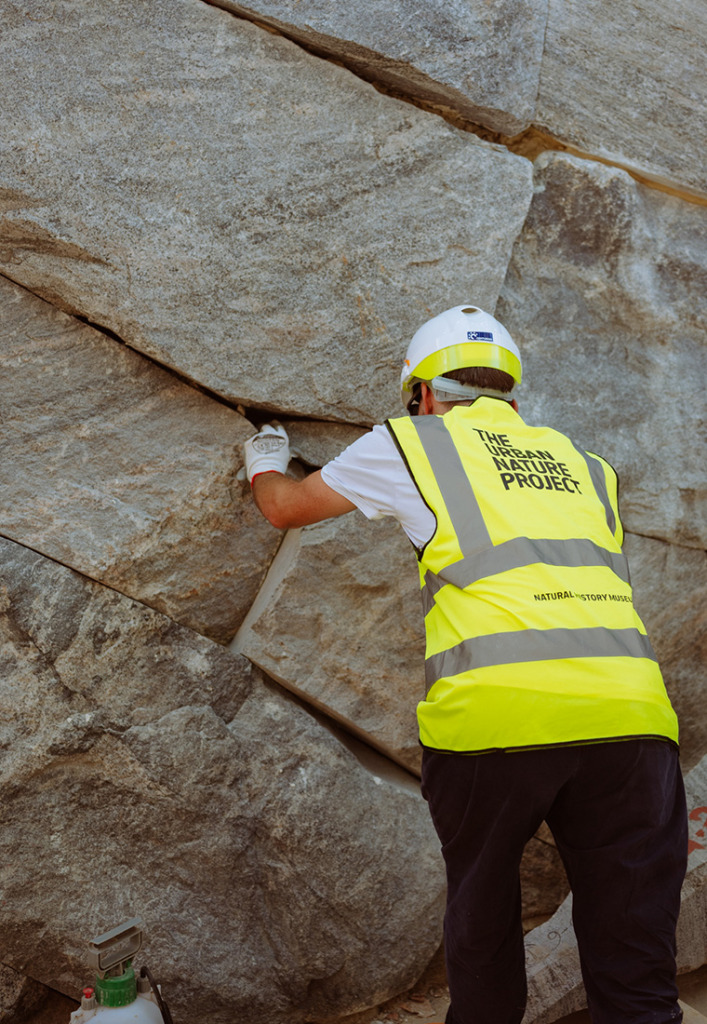 02_TIMELINE WALL CONSTRUCTION_2