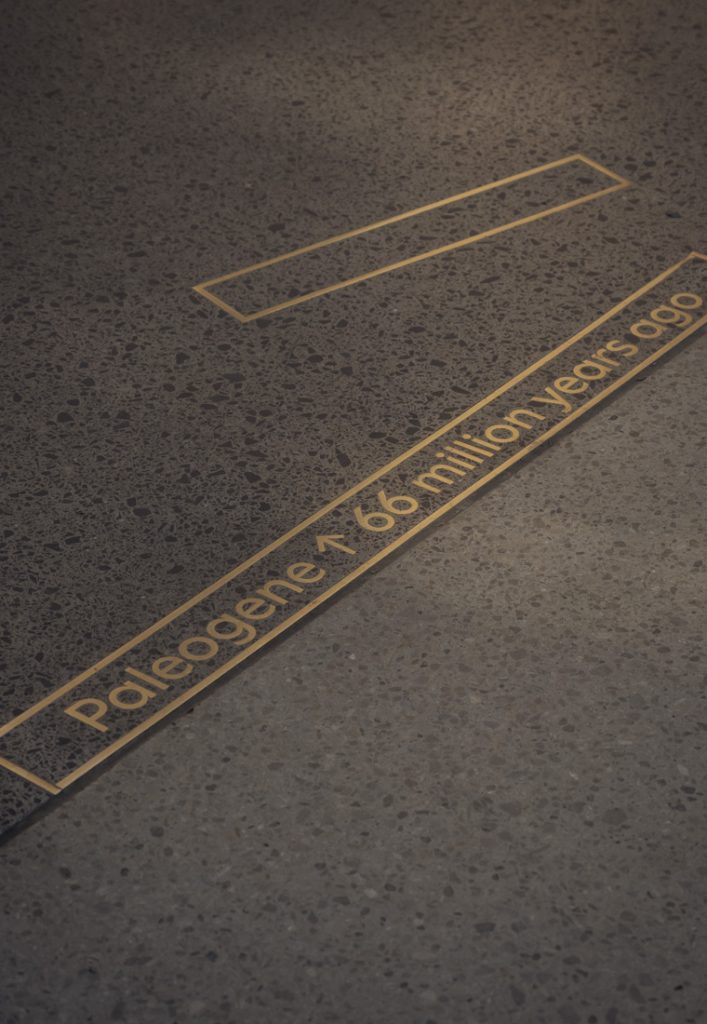 03_NHM_PAVEMENT