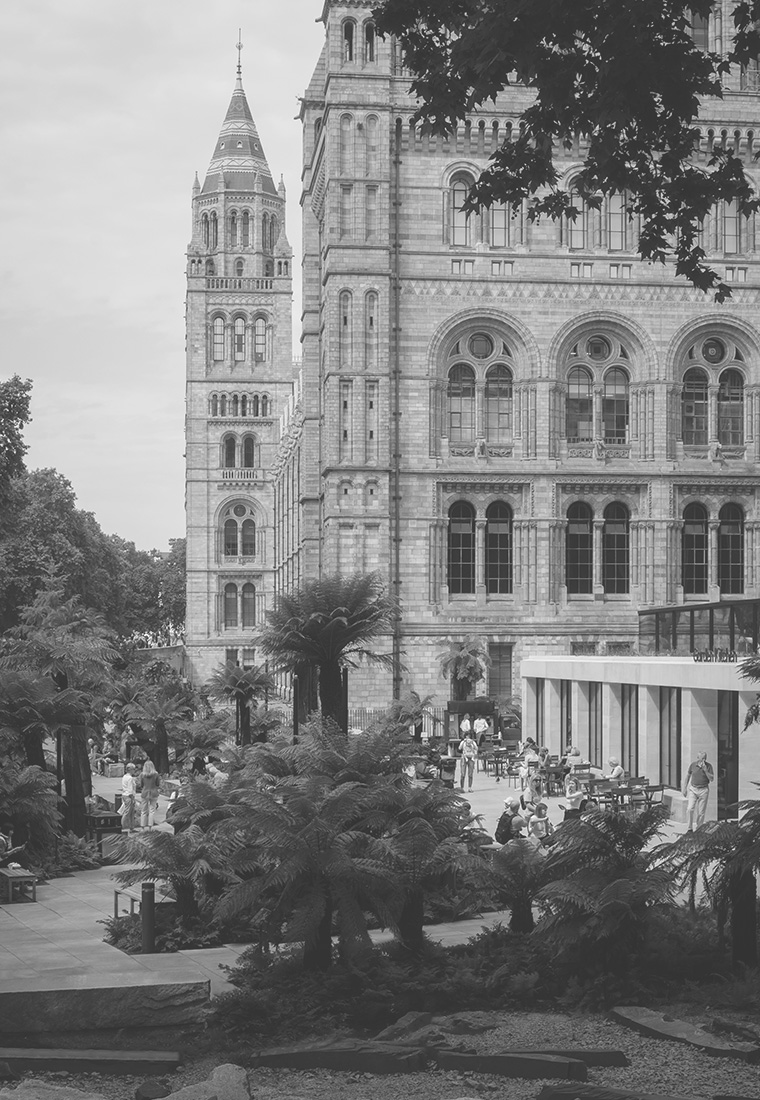 NHM_P_Index Thumbnail